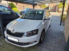 Martin A. Niederkrüchten